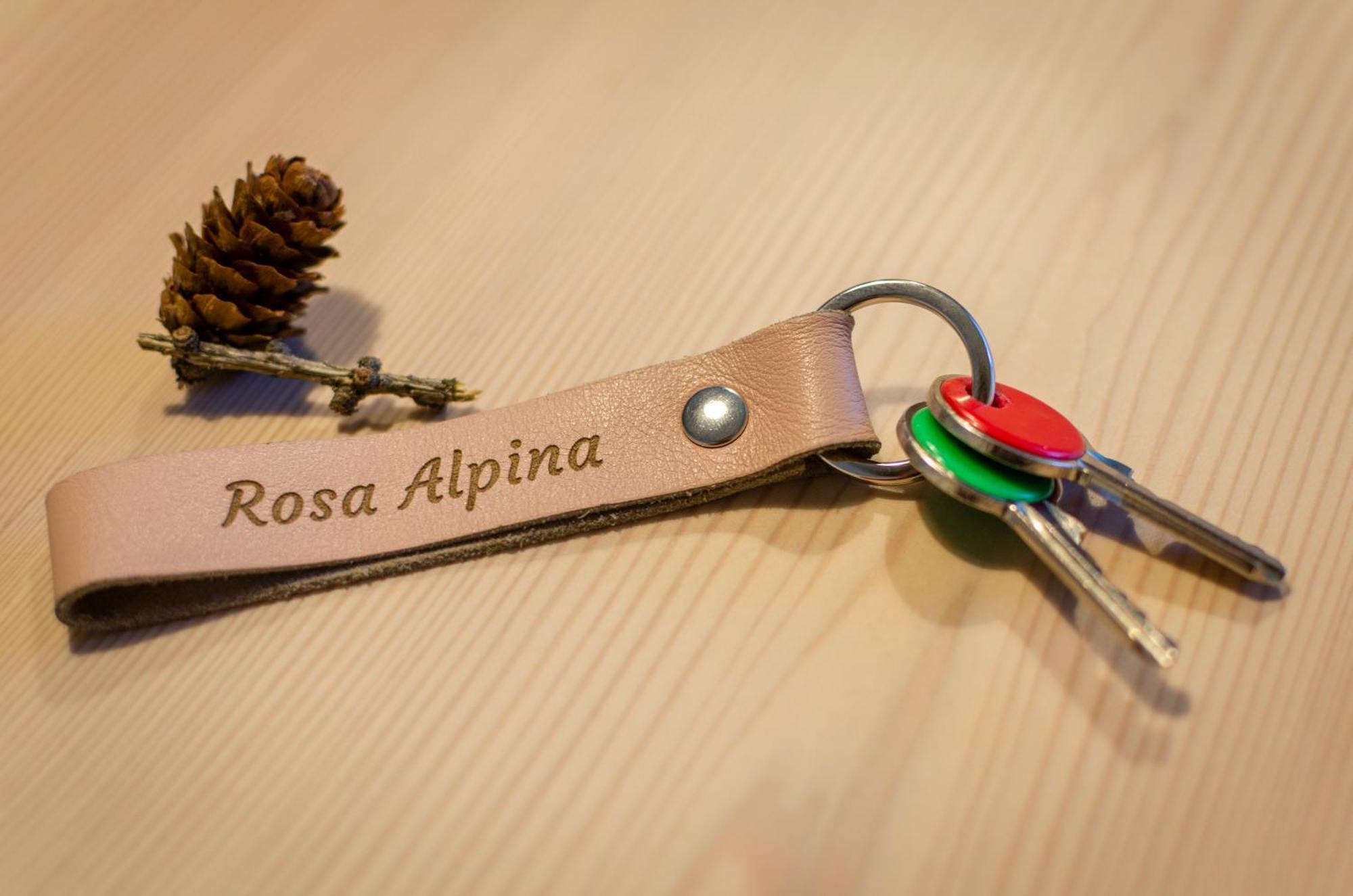 Rosa Alpina - Appartamento Nelle Dolomiti Toblach Exterior foto